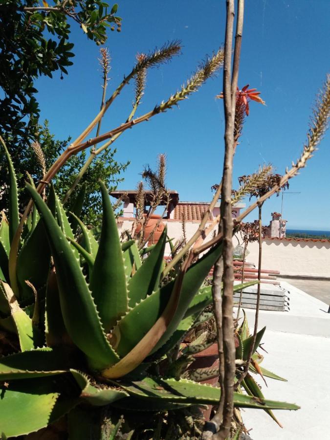 Hébergement de vacances Sa Costera